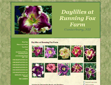 Tablet Screenshot of dayliliesatrunningfoxfarm.com